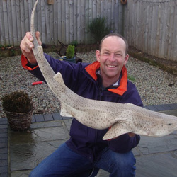 Steve Nicholson with a shore caught Bull Huss - 12lb 12oz (28/12/2013)