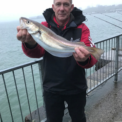 Rob Wheaton with a Whiting of 2lb 2oz