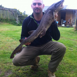 Lee Vosper with a shore caught Bull Huss - 12lb 10 1/2oz (03/05/13)