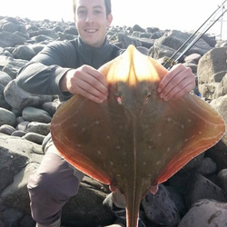 James Robson with a shore caught Small Eyed Ray - 10lb 13oz 8dr (4th May 2014)