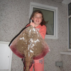 Phoebe Nicholson with a shore caught Thornback Ray - 7lb 10oz (7th November 2013)