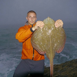 Carl McCormack with a shore caught Small Eyed Ray - 11lb 8oz (14th July 2015)