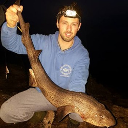 Joe Gardner with a shore caught Bull Huss - 10 lb. 8 oz. (18/12/2016)
