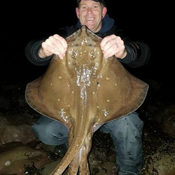 Steve Arnold with a shore caught Blonde Ray - 12 lb. 0 oz. (28.12.2016)