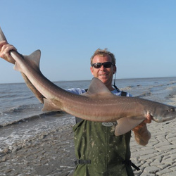 Steve Arnold with a shore caught Starry Smoothhound - 13lb 6oz (13th July 2013)