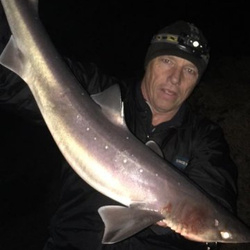 Rob. Yorke with a shore caught Spurdog - 9 lb. 5 oz. (28k/12/2016)