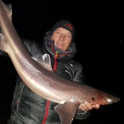 Rob. Yorke with a shore caught Spurdog - 12 lb. 10 oz. (4 February 2017)