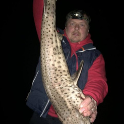 Scott Clark with a shore caught Bull Huss - 12 lb. 0 oz. (4 February 2017)