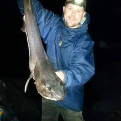 Gary Mitchell with a shore caught Bull Huss - 12lb 12oz (12th April 2014)