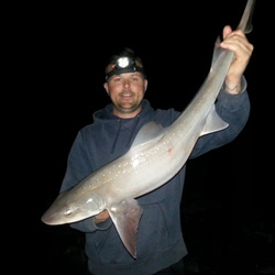 Gary Mitchell with a shore caught Starry Smoothhound - 10lb 10oz (31st May 2014)