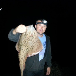 Gary Mitchell with a  caught Spotted Ray - 4lb 7oz (22nd August 2014)