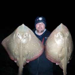 Gary Mitchell with a shore caught Small Eyed Ray - 12lb 4oz (3rd December 2014)