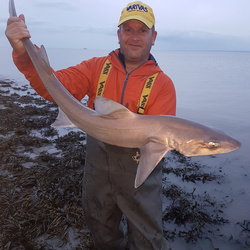 Mark Bryce with a Smoothhound of 14lb 4oz