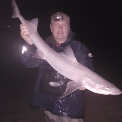Scott Clark with a Smoothhound of 10lb 14oz