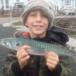 Josh Johnson with a Mackerel of 1lb 2oz