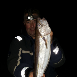 Scott Smy with a Whiting of 1lb 11oz 8dr