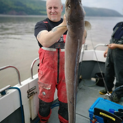Tony Swain with a Conger Eel of 31lb 13oz