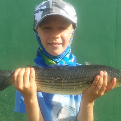 Josh Johnson with a Mullet, Thick Lip of 3lb 0oz
