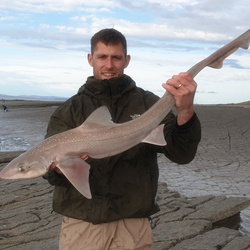 Ryan McGlinchey with a Smoothhound, Starry of 10lb 1oz