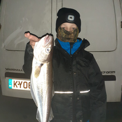 Josh Johnson with a Whiting of 1lb 12oz