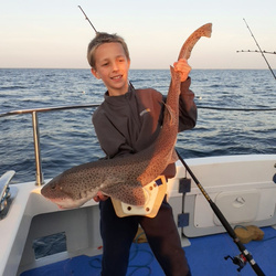 Josh Johnson with a Bull Huss of 13lb 6oz