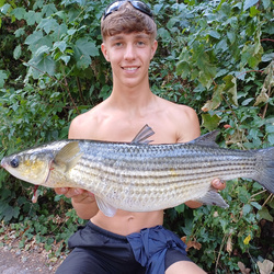 Josh Johnson with a Mullet, Thick Lip of 6lb 0oz 8dr