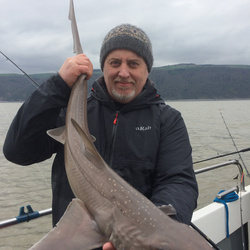 Tony Swain with a Smoothhound, Starry of 10lb 4oz