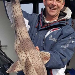 Steve Nicholson with a Bull Huss of 12lb 4oz