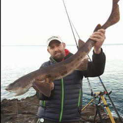 Danny Clegg with a shore caught Bull Huss - 10 lb. 1 oz. (26 April 2016)
