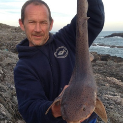 Mark Ancill with a shore caught Bull Huss - 10 lb. 0.5 oz (05/05/2016)