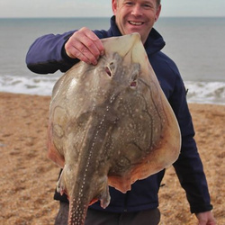 Steve Arnold with a shore caught Undulate Ray - 14 lb. 10 oz. (02/04/2017)