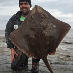 Will Ansari with a shore caught Blonde Ray - 20 lb. 3 oz. (3 April 2016)