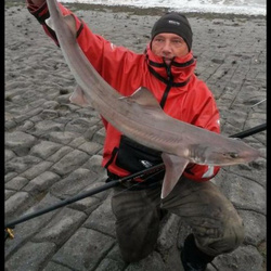 Rob Yorke with a shore caught Common Smoothound - 14 lb. 4 oz (26/06/2016)