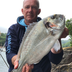 Rob Wheaton with a Bream, Gilthead of 5lb 1oz