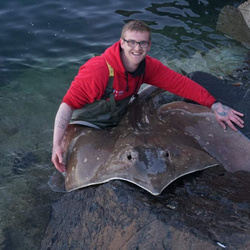 Nathan Giddy with a Common Skate of 156lb 0oz