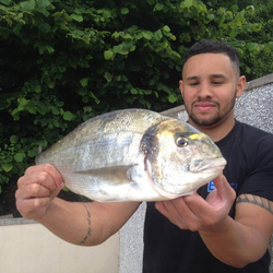 Lloyd Carty with a shore caught Gilt Head Bream - 3 lb. 9 oz. (20/07/2016)