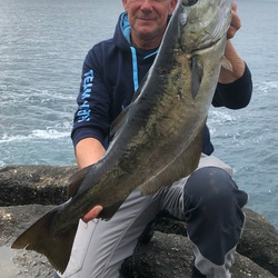 Rob Wheaton with a Pollack of 8lb 10oz