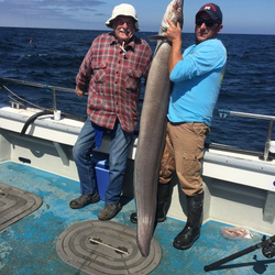 David Gicquel with a wreck caught Conger Eel - 84 lb. 0 oz. (12/08/2016)