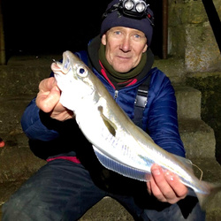 Rob Wheaton with a Whiting of 1lb 12oz