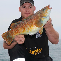 Andy Webb with a Wrasse, Ballan of 4lb 5oz