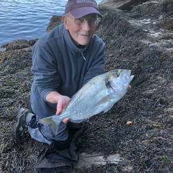Mike Hodge with a Bream, Gilthead of 3lb 0oz