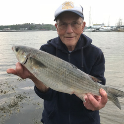 Mike Hodge with a Mullet, Thick Lip of 3lb 4oz