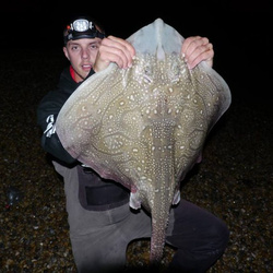Carl McCormack with a shore caught Undulate Ray - 15lb 13oz (3rd August 2015)