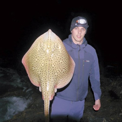 Carl McCormack with a shore caught Spotted Ray - 5lb (22nd March 2015)