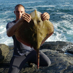 Carl McCormack with a shore caught Small Eyed Ray - 9lb 14oz (2nd July 2015)