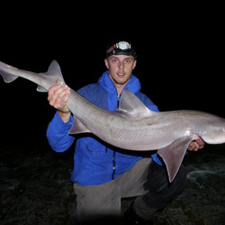 Carl McCormack with a shore caught Smoothound - 17lb 5oz (30th May 2015)