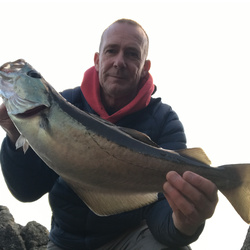 Rob Wheaton with a Pollack of 4lb 1oz