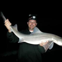 Gary Mitchell with a shore caught Starry Smoothhound - 12lb 0oz 8dr (21st June 2014)