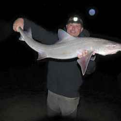 Gary Mitchell with a shore caught Starry Smoothound - 16lb 2oz (30th May 2015)