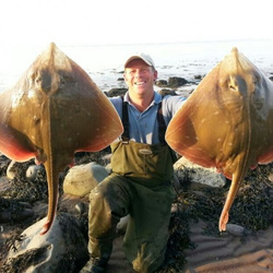 Steve Arnold with a brace of shore caught Small Eyed Ray - Biggest 12lb 2oz 8dr (21st April 2014)